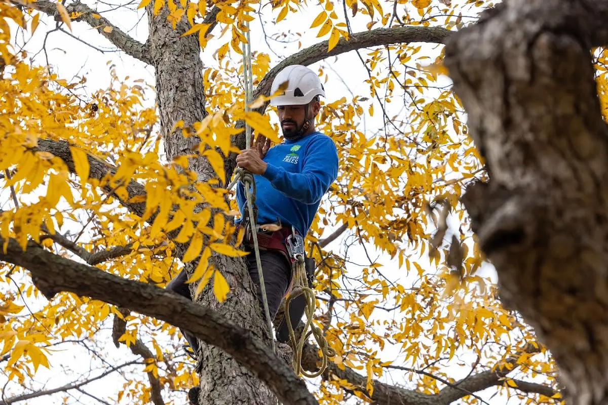 Skilled Storm Damage Cleanup crew working in Prudenville